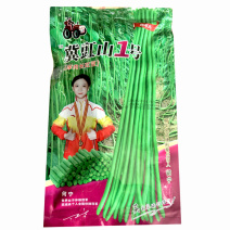 冀豇山1号豆角种子超长早中熟耐老化无鼠尾鼓籽少基地种