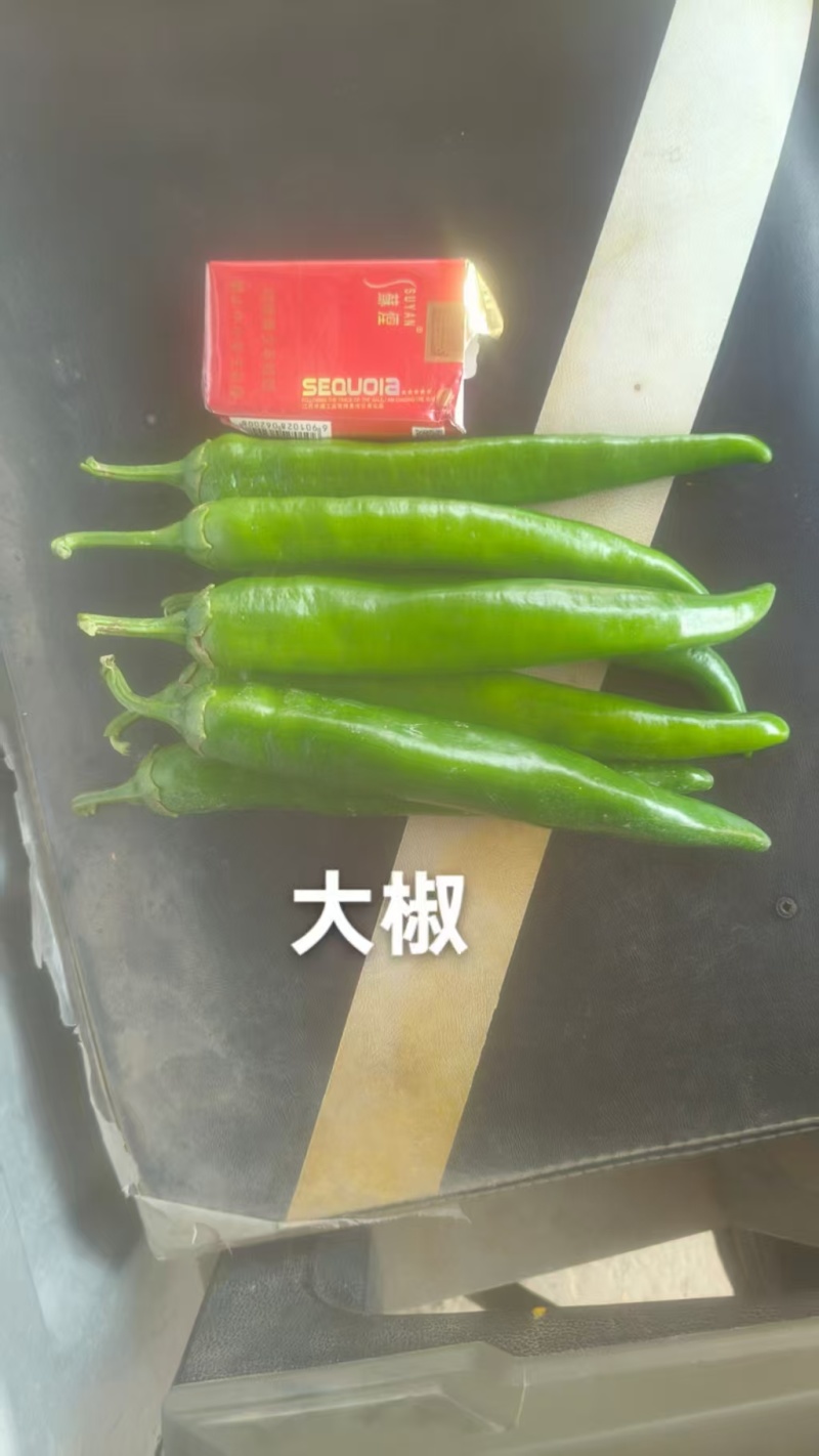【实力代办】河南开封青皮尖椒新鲜采摘现货批发欢迎来电