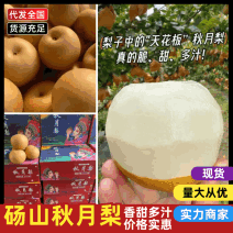 秋月梨表皮干净果肉细腻汁水丰富甜度高口感脆甜入口化渣满意为止