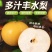 河北丰水梨一件代发产地直发一手货源对接各大电商平台