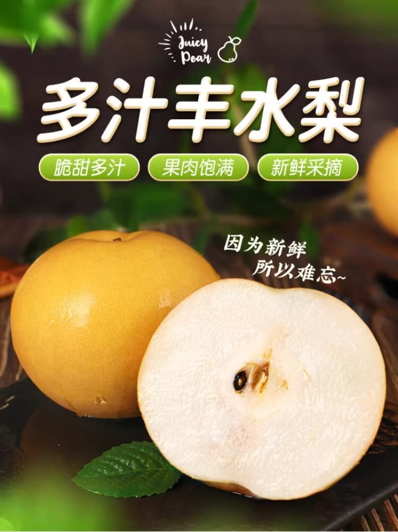 河北丰水梨一件代发产地直发一手货源对接各大电商平台
