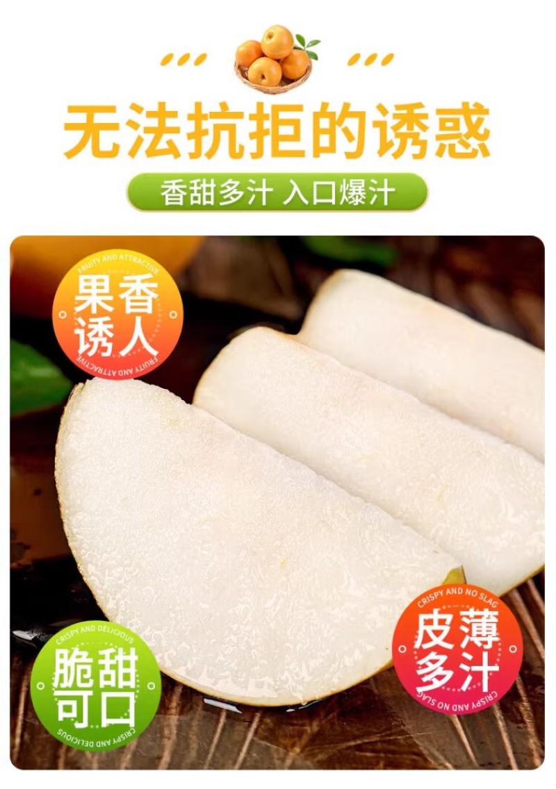 河北丰水梨一件代发产地直发一手货源对接各大电商平台