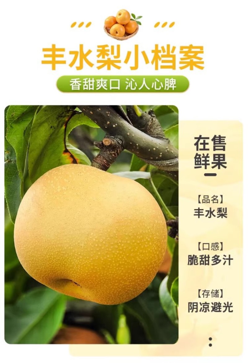 河北丰水梨一件代发产地直发一手货源对接各大电商平台
