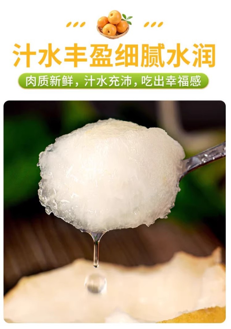 河北丰水梨一件代发产地直发一手货源对接各大电商平台