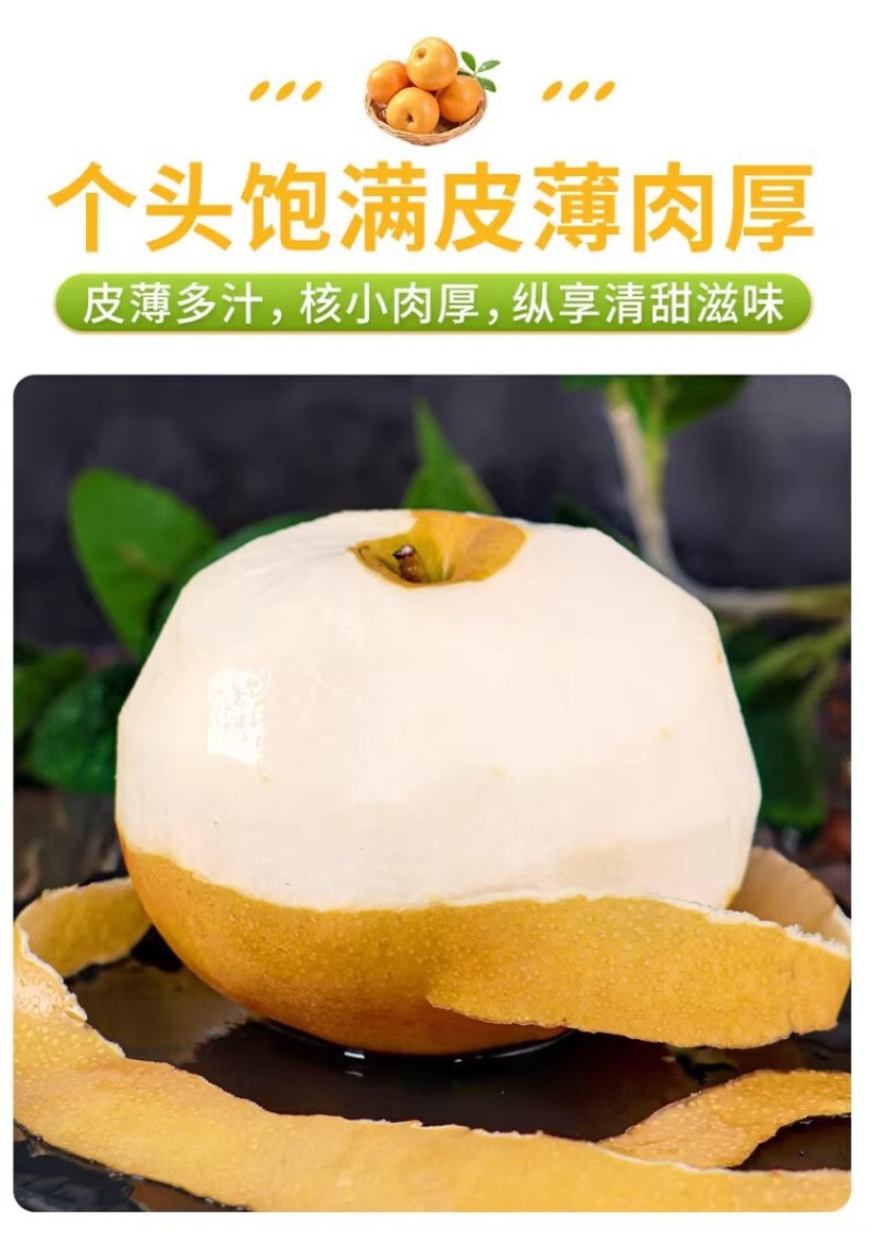 河北丰水梨一件代发产地直发一手货源对接各大电商平台