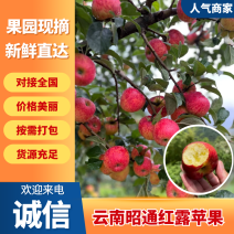 【云南红露苹果】昭通苹果华硕苹果丑苹果红富士全国发货