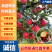 【云南红露苹果】昭通苹果华硕苹果丑苹果红富士全国发货