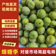 蜂糖李李子产地直发品质保障对接全国市场等