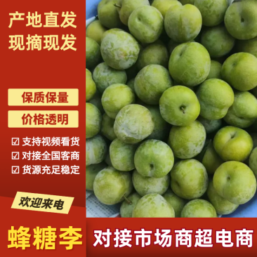 蜂糖李李子产地直发品质保障对接全国市场等