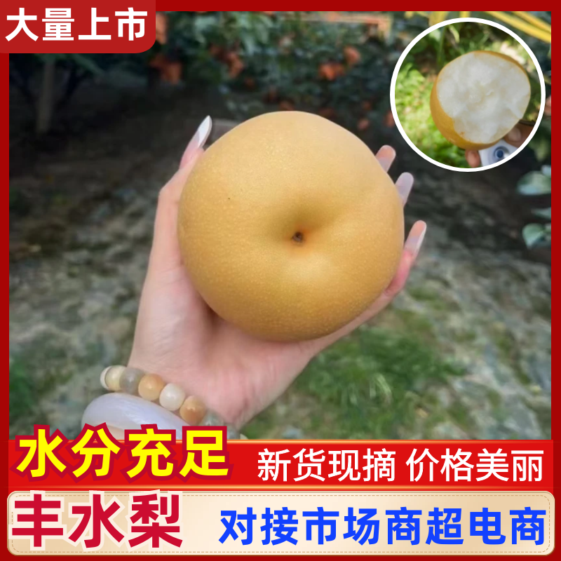 丰水梨陕西丰水梨现摘现发供应全国市场电商商超