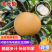 【实力供货】丰水梨汉中丰水梨皮薄多汁品质保证欢迎咨询