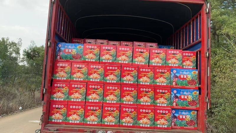 雪莲果云南雪莲果产地直发口感脆甜量大优惠对接全国