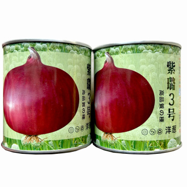 紫璐3号洋葱种子水果紫红皮半100g高桩高扁圆辣味适中