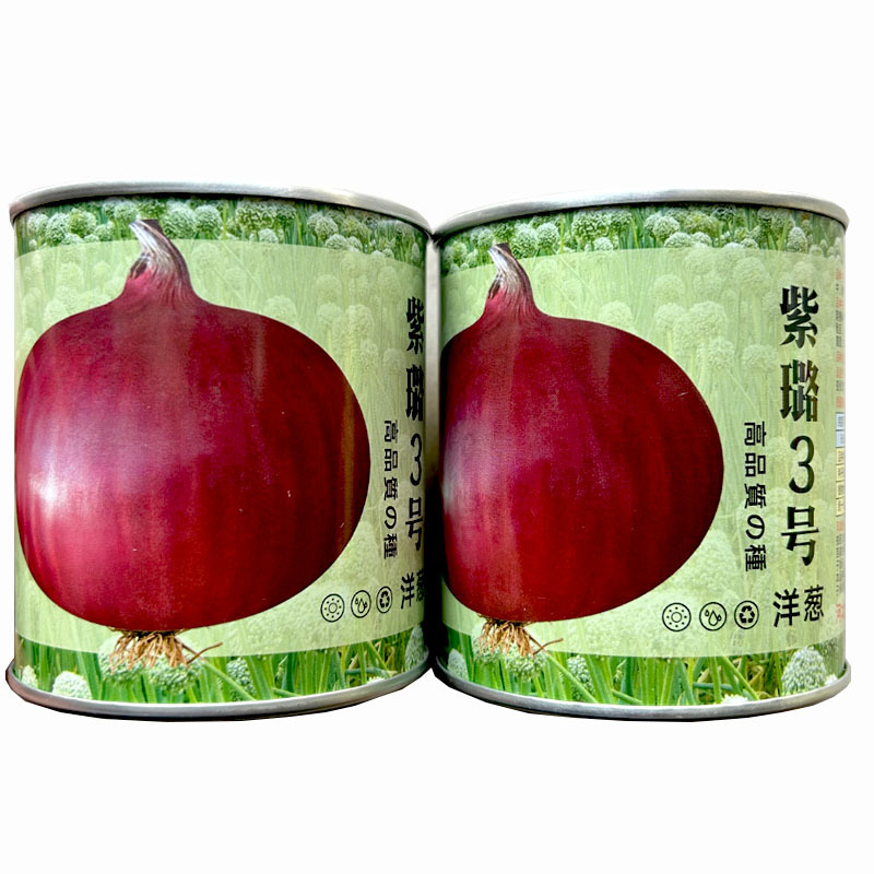 紫璐3号洋葱种子水果紫红皮半100g高桩高扁圆辣味适中