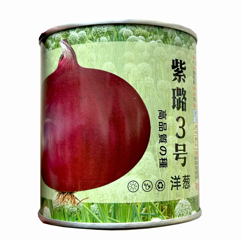 紫璐3号洋葱种子水果紫红皮半100g高桩高扁圆辣味适中