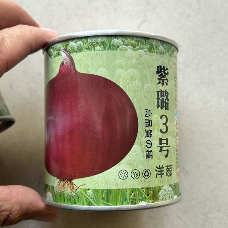 紫璐3号洋葱种子水果紫红皮半100g高桩高扁圆辣味适中