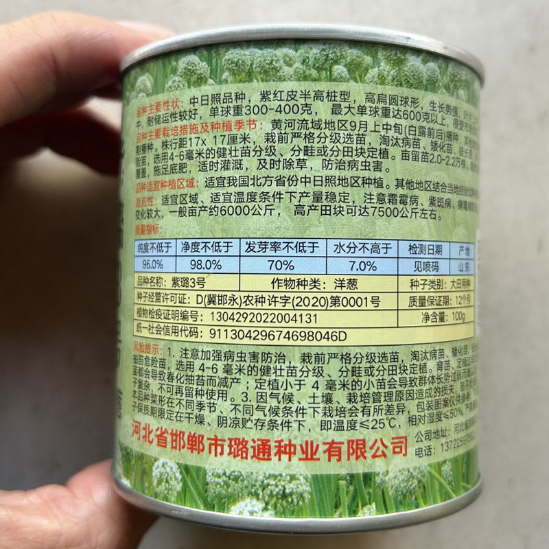 紫璐3号洋葱种子水果紫红皮半100g高桩高扁圆辣味适中