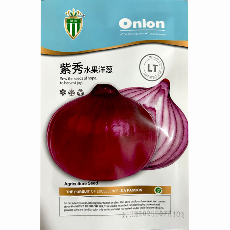紫秀水果洋葱种子中熟品种紫红色甜脆微辣球茎紧实大田基地