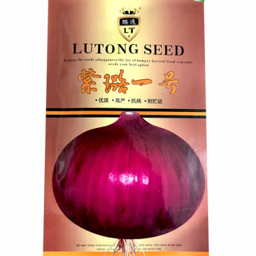 紫璐一号洋葱种子10g中日照紫红皮半高桩辣味适中
