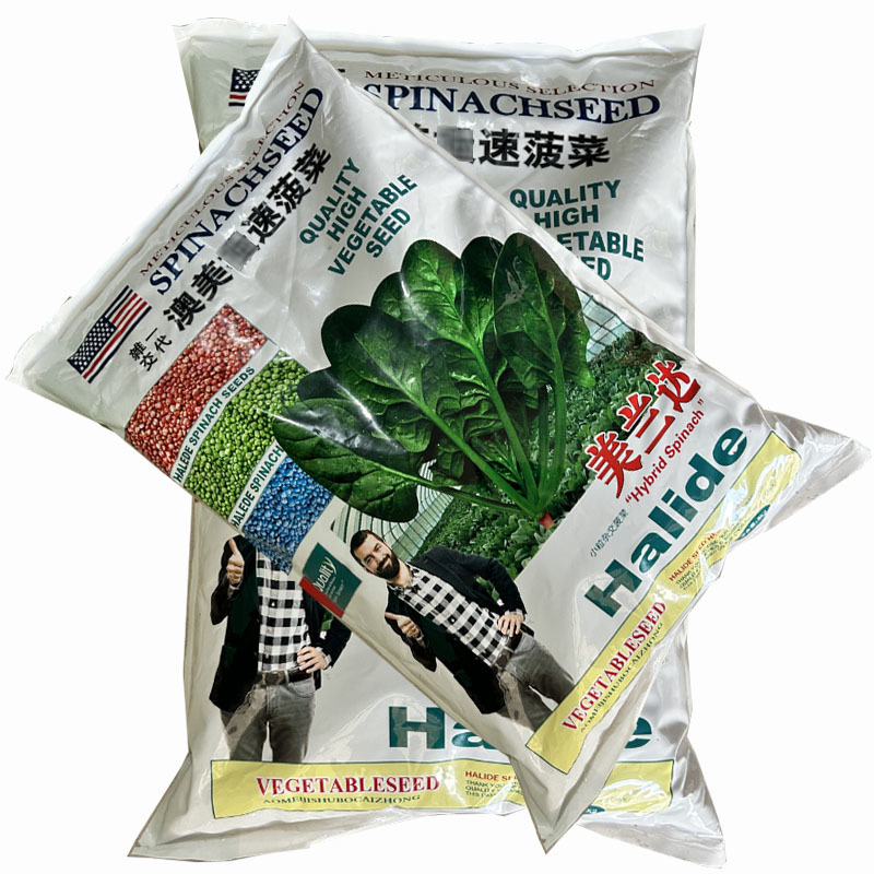 美兰达菠菜种子10斤耐热耐寒早熟晚抽秋播种植高产