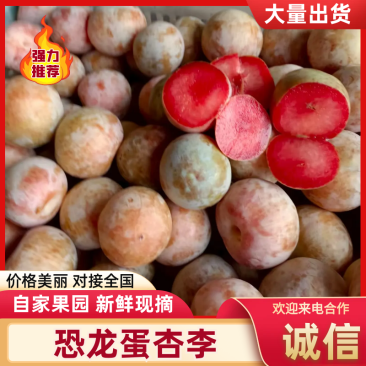 《杏李》恐龙蛋李子洛阳基地直发自家果园直发无中间商
