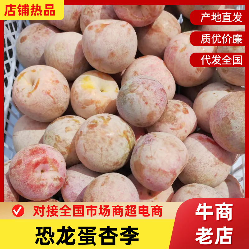 《精选》洛阳杏李大量上市恐龙蛋李子/味帝李品种齐全