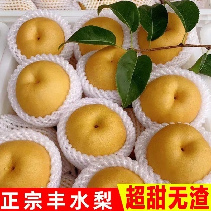 大量供应丰水梨，现货诚信经营，口感甜，化渣细漱，品质好。