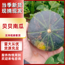 【精品南瓜】内蒙古贝贝南瓜，全国发货，价格便宜，欢迎来电