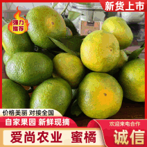 【实在多汁】特早无核蜜桔湖北产地供电商社区商超市场