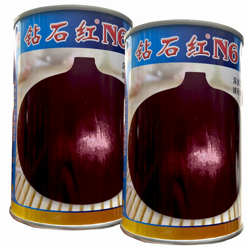 钻石红N6紫红色洋葱种子100g半高桩肉质脆嫩大基地
