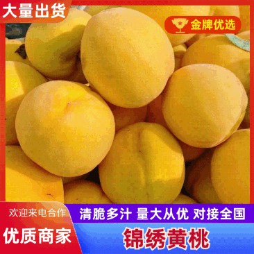 黄桃金香，锦绣，黄中黄，晚黄金，新世纪口感脆甜