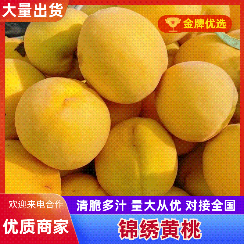 黄桃金香，锦绣，黄中黄，晚黄金，新世纪口感脆甜