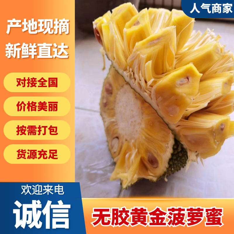 无胶黄金菠萝蜜产地一手货源对接全国按需包装