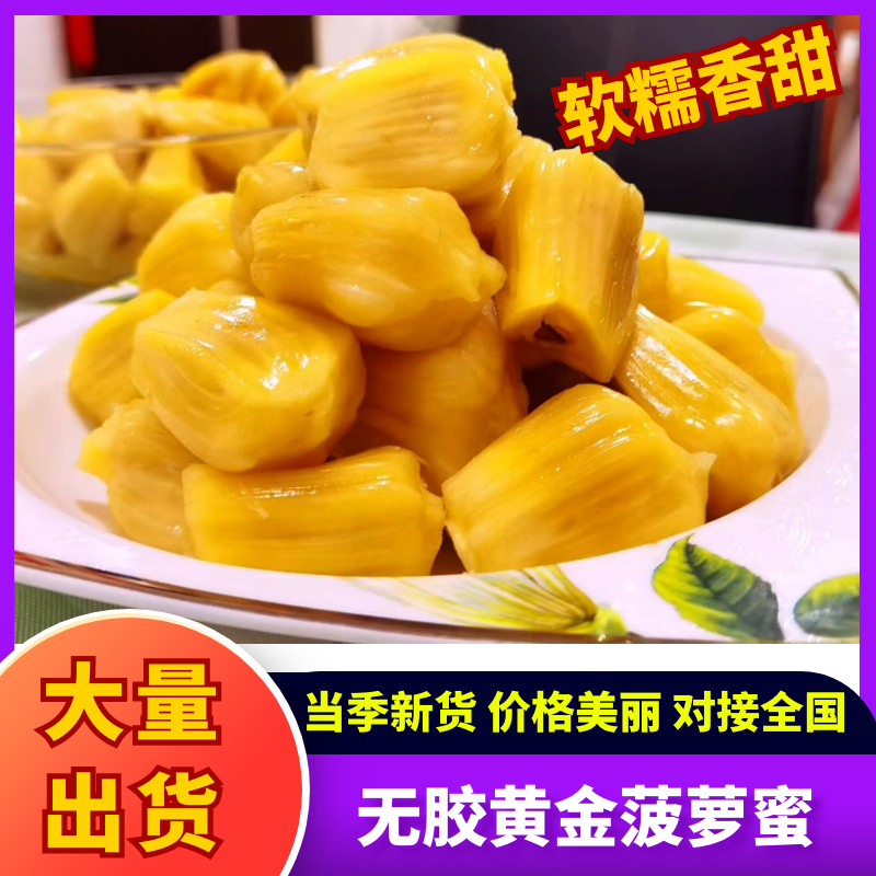 无胶黄金菠萝蜜产地直发品质保障坏果包赔量大优惠