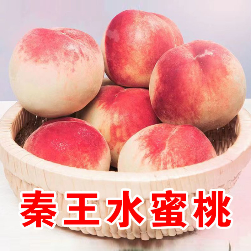 **秦王新鲜水蜜桃山西脆甜超越超红毛桃现摘桃子