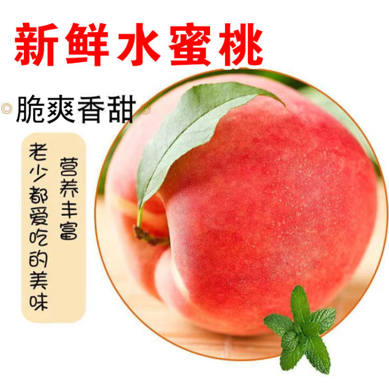 **秦王新鲜水蜜桃山西脆甜超越超红毛桃现摘桃子