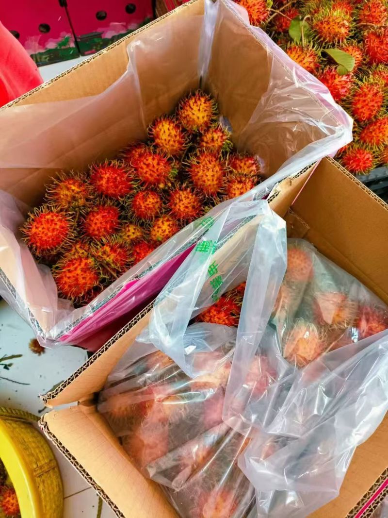 海南保亭红毛丹产地直发订购