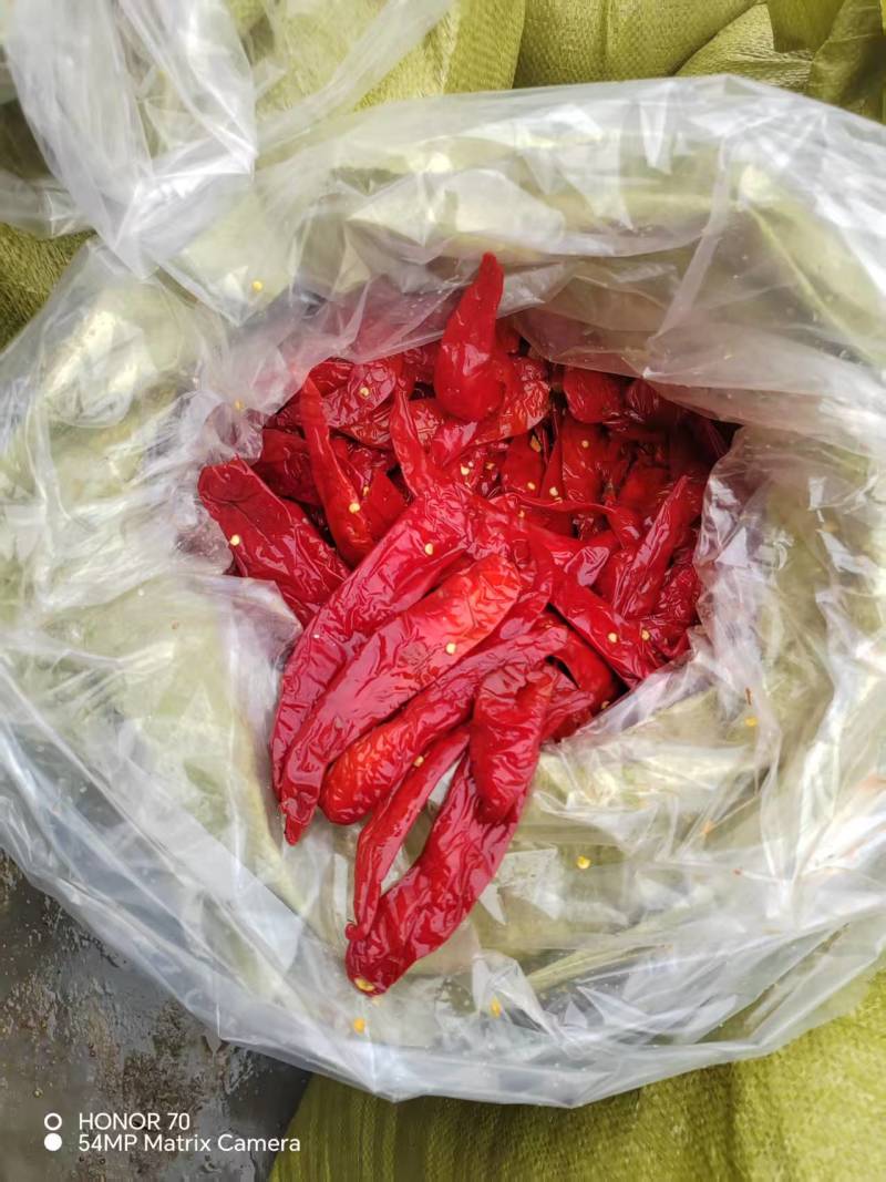 去帽腌制红辣椒大量有货诚信合作挑选好的精品欢迎电话