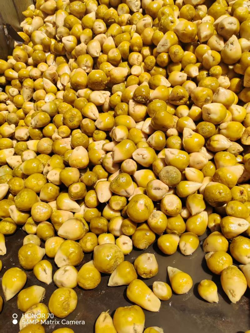 咸菜2024年腌好的芥菜疙瘩腌芥菜头一手货源量大从优