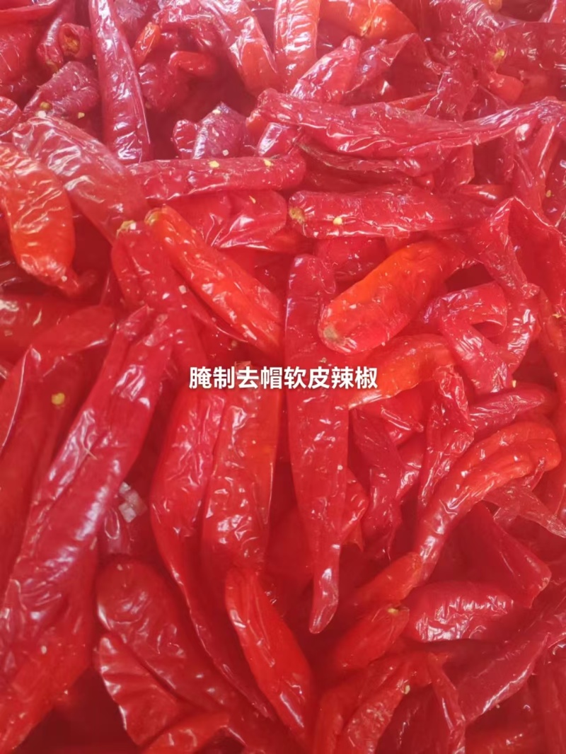 出口标准去帽腌制红辣椒大量有货挑选好的精品欢迎电话