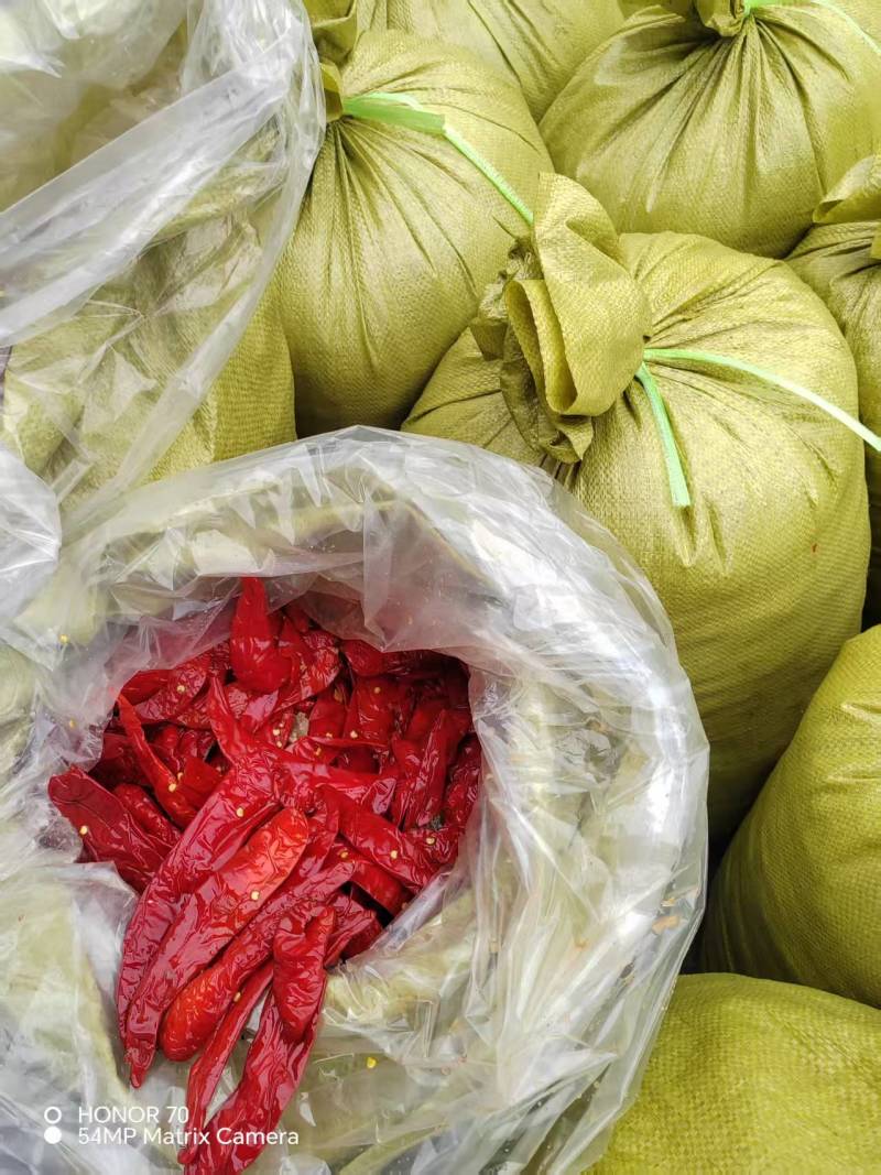 出口标准去帽腌制红辣椒大量有货挑选好的精品欢迎电话