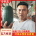 山东精品冬瓜水果冬瓜，代发全国视频看货，欢迎致电