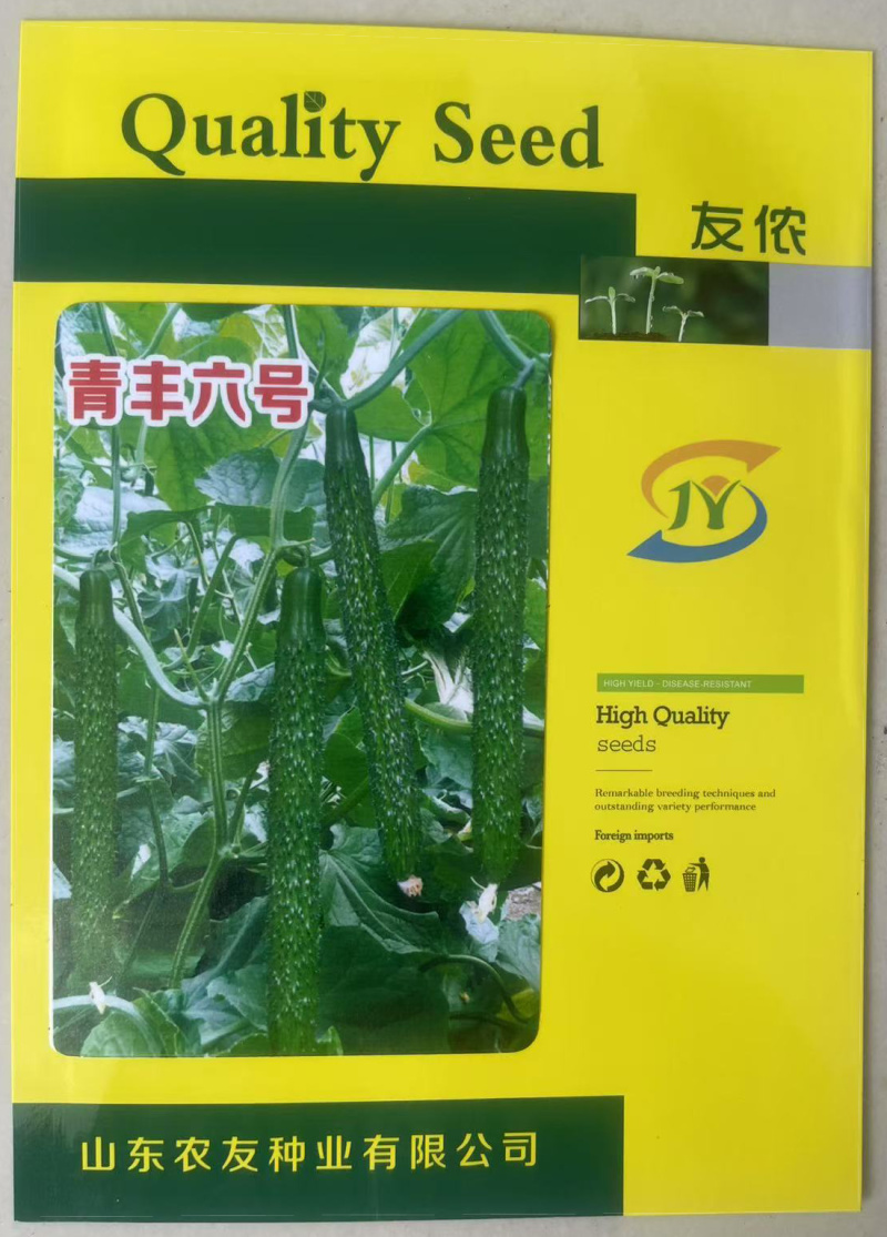 黄瓜种子好吃强雌青丰六号大黄瓜种籽耐寒耐热露天大棚种植