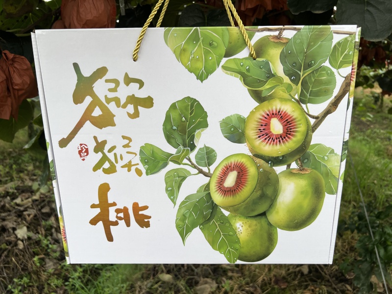 四川精品礼盒装红心猕猴桃，量大价优，营养丰富