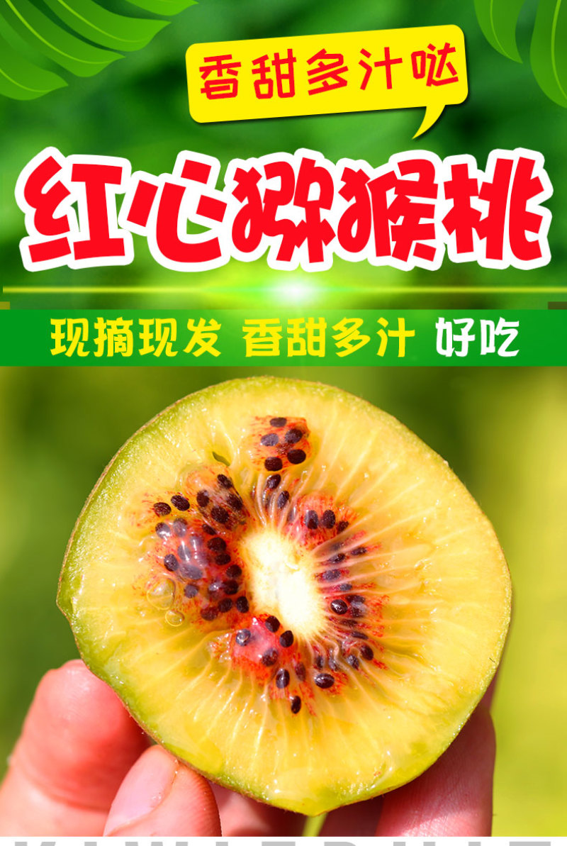 四川精品礼盒装红心猕猴桃，量大价优，营养丰富