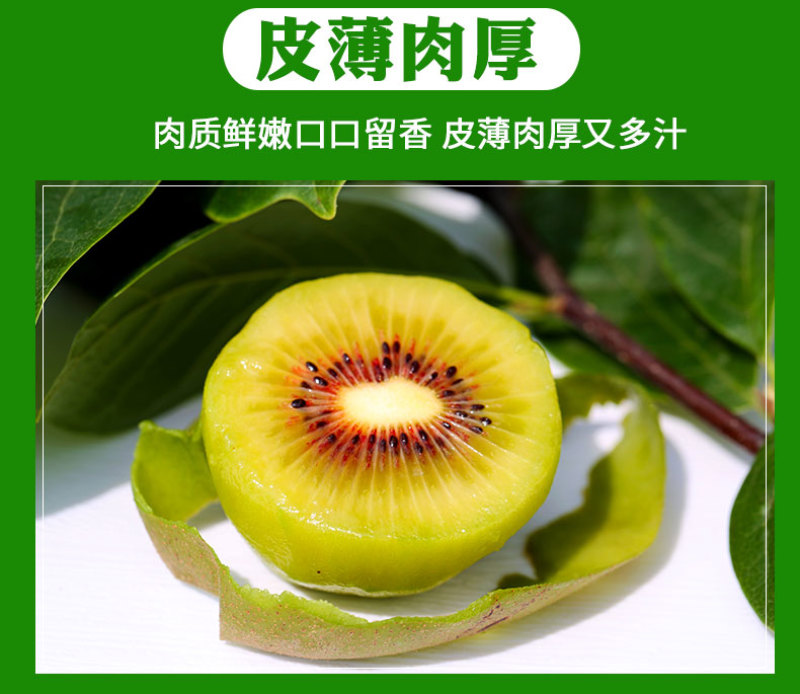四川精品红心猕猴桃，果香浓郁，口感好，一手货源