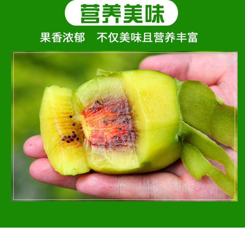 四川精品红心猕猴桃，果香浓郁，口感好，一手货源