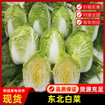 湖北白菜黄心白菜湖北白菜品相好口感佳价格实惠欢迎联系