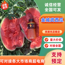 通辽市金城武西瓜金城5号东北西瓜价格便宜望新老客户前来选购