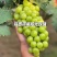 陕西葡萄阳光玫瑰大量现货供应,现摘现发,规格齐全实力代办
